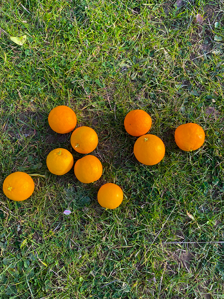 220 FOR KIRSTEN SCOTT AMY 4819 72dpi